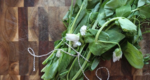 greens in a bundle