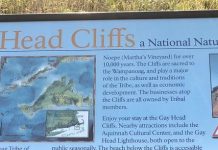Gayheadcliffshangout